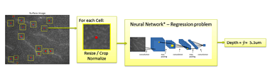 Picture for Depth Estimating of Infiltrating Cancer Cells on a Gel Surface