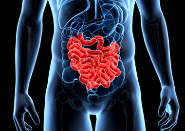 Picture for Estimating Intestine Blood Flow With Video Analysis