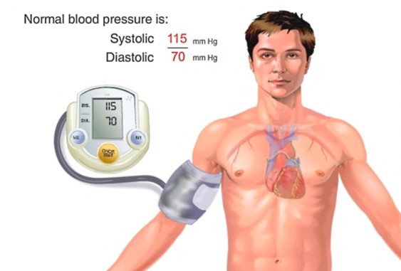 Picture for A Data-Driven Approach to Nocturnal Diagnosis of Hypertension from Continuous Photoplethysmography Time Series