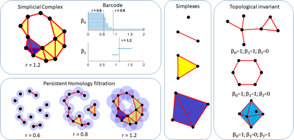 Picture for Homological Connectivity in a Flat Cylinder