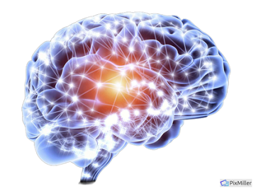 Picture for Cortical Signal Analysis