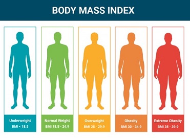 Picture for Estimating BMI from 2D Image