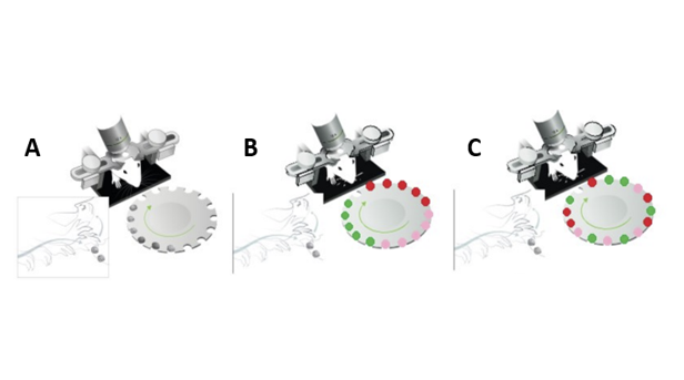 Picture for Sparse representations of sensory signals in neuronal networks