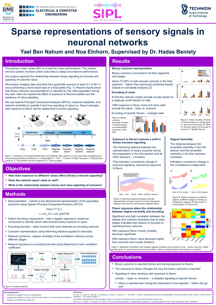 Poster for Sparse representations of sensory signals in neuronal networks