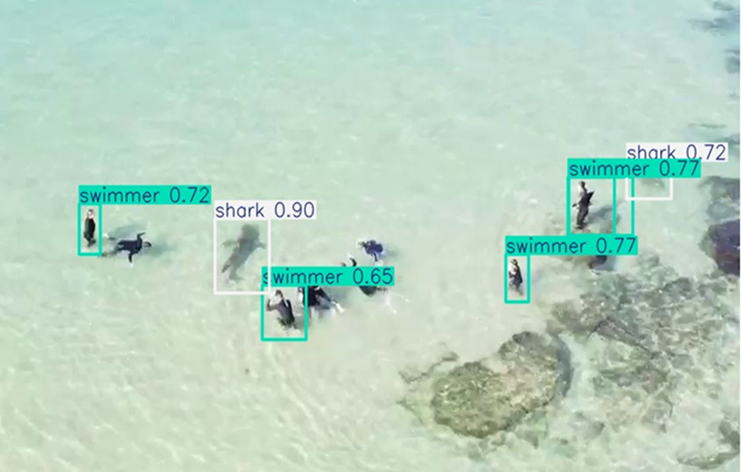 Picture for Analysis of Shark-Human Interactions using Drone Video Footage