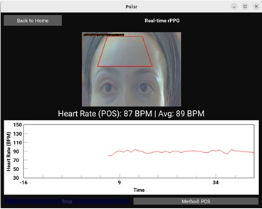 Picture for Remote PPG-based Vital Signs Monitoring