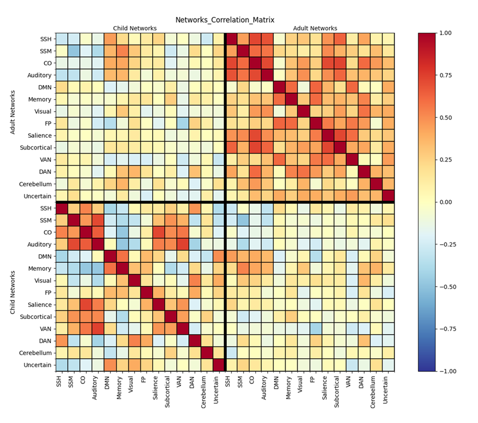 Picture for Brain Synchronization Between Parent and Child During Rest