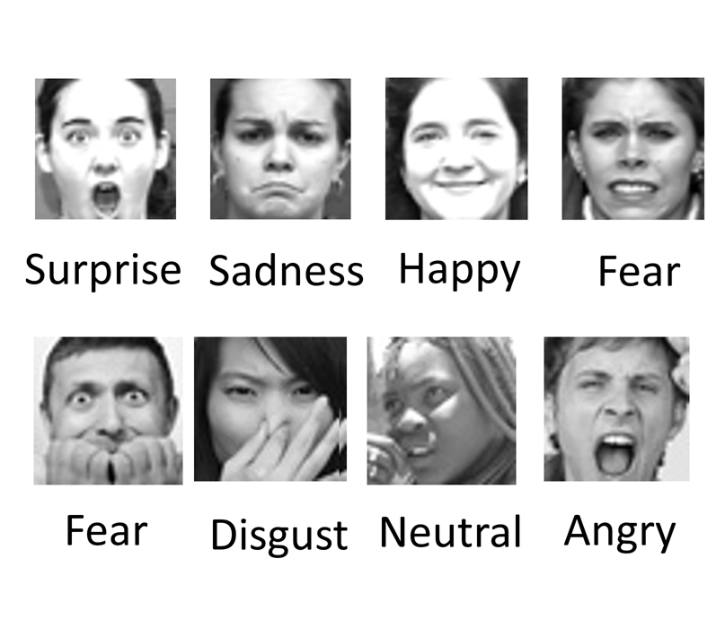 Picture for Emotions Classification from Facial Images